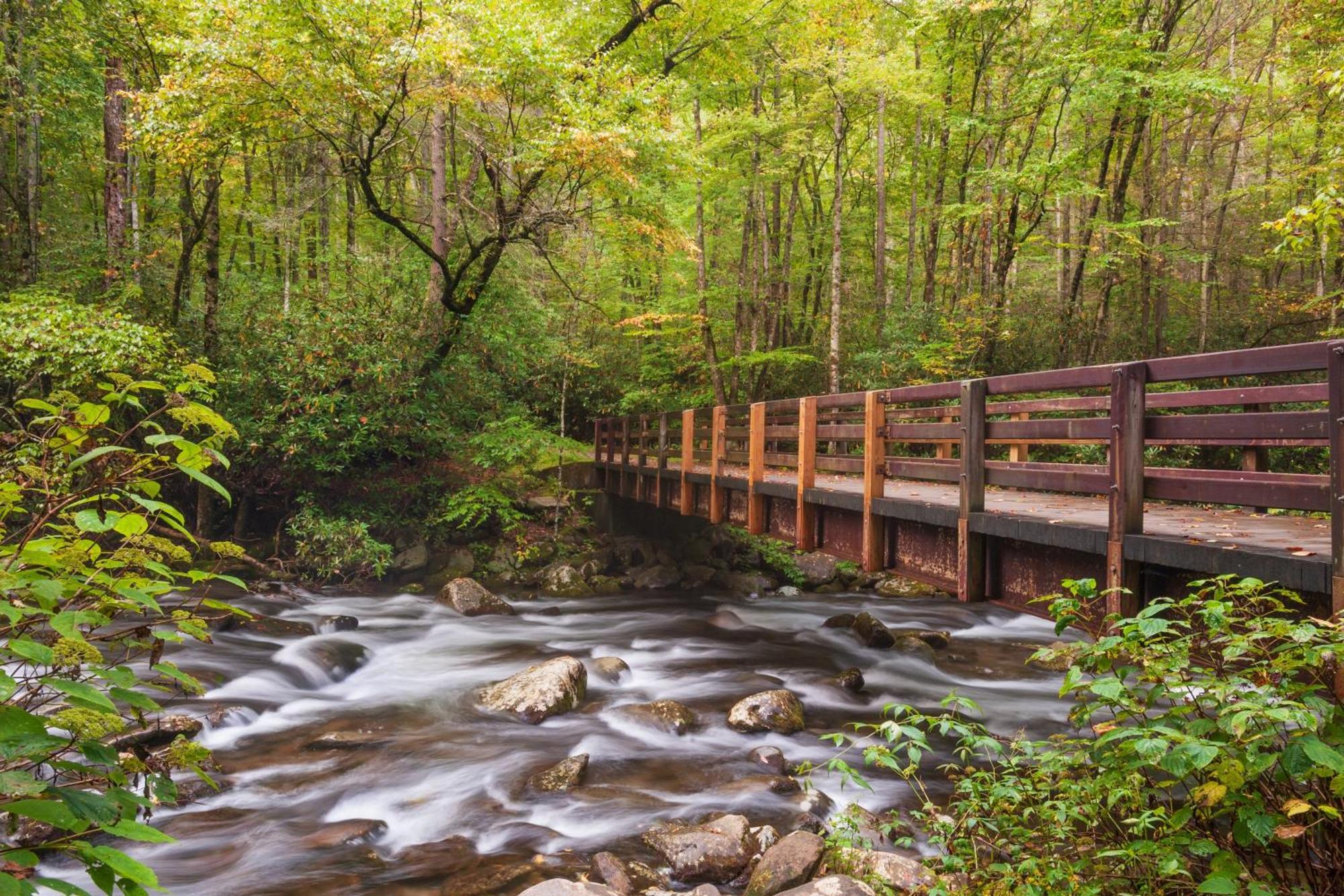 Lazy Bear Lodge, Hot Tub, Resort Pool, Wifi, 1089 Free Tickets Each Paid Day, Dollywood And More Gatlinburg Esterno foto